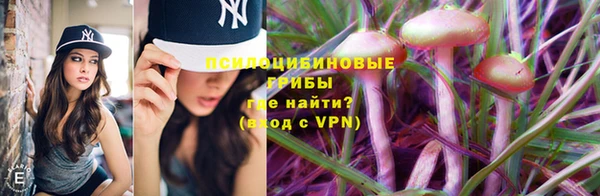 сатива Алзамай