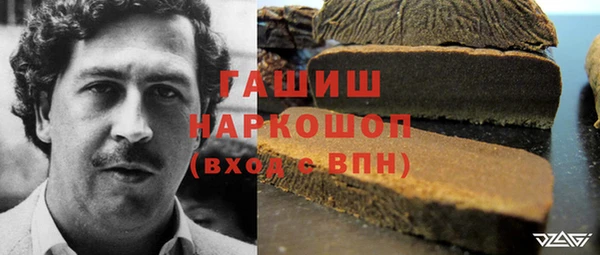 сатива Алзамай