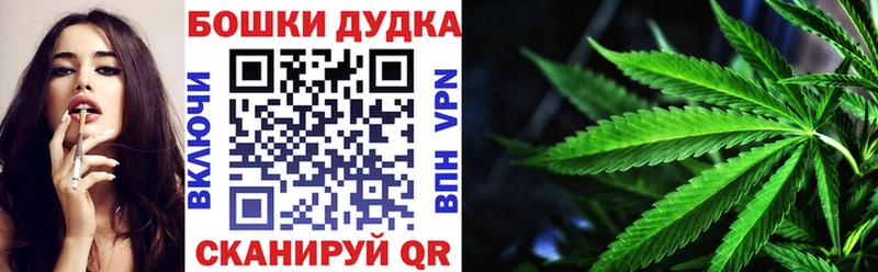 KRAKEN ссылка  даркнет телеграм  МАРИХУАНА сатива  купить наркотики сайты  Кольчугино 